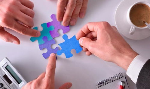 协同共创，长效共赢 少儿财商教育项目的合作管理新范式